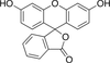 Fluorescein - F485250 - Toronto Research Chemicals, Inc.