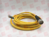 QD Cable/Cord Set - 4237595 - Radwell International