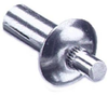 Drive and Blind Rivets -- 38-110-21-16 - Image