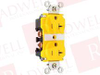 Plug/Receptacle - 11977619 - Radwell International