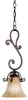 3557CZ Mini Pendants-Chain - 736254 - Capital Lighting, Inc.