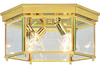 P3731-10 Flush Mounts-Cage Style - 768404 - Capital Lighting, Inc.