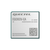 RF Transceiver Modules and Modems - 2958-EG060VEAAA-M25-TA0AA-ND - DigiKey