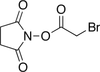 N-Succinimidyl Bromoacetate - S690280 - Toronto Research Chemicals, Inc.