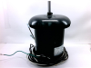 Motor - Radwell International