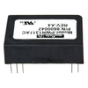 Power Supplies - Board Mount - DC DC Converters - 1209496-PWR1317AC - Win Source Electronics