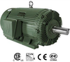 Advanced Design Rock Crusher Motors -- PEWWE350-18-586/7UZ - Image