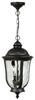 Exterior -Hanging - 260185 - Light Center (The)
