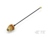RF Cable Assemblies - 2556946-2 - TE Connectivity