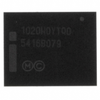 Memory -- 858995-ND