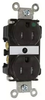 Duplex/Single Receptacle - TR62-H - Thomas & Betts Corporation