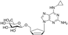 Abacavir 5’-β-D-Glucuronide - 18916 - Medical Isotopes, Inc.