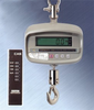 Digital Crane Scale -- CAS-NC1