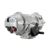 Electric Intelligent Actuators, IQT3