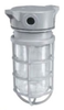 Vaporproof Incandescent Fixture with Globe and Guard -- VUXBGG-1-200