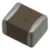 Ceramic Capacitors - 501S41N102KV6E - ODG (Origin Data Global)