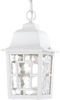 60-4931 Exterior -Hanging - 309336 - Capital Lighting, Inc.