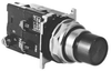 Illuminated Pushbutton -- 10250T471C21-1 - Image