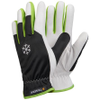 Work Gloves -- 116383 - Image