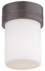 F607770 Flush Mounts-Other - 415573 - Capital Lighting, Inc.