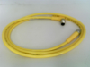 QD Cable/Cord Set - Radwell International