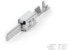 Automotive Terminals - 2-2141874-1 - TE Connectivity