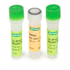 iProof&trade; HF Master Mix - 172-5310 - Bio-Rad Laboratories, Inc.