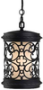 Exterior -Hanging - 350756 - Light Center (The)