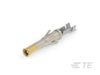Connector Contacts - 66594-2 - TE Connectivity
