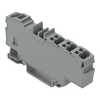 Distribution terminal block - 2006-8031 - WAGO