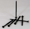 Bugle Phillips Fine -- 114CDWK - Image