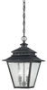 Exterior -Hanging - 624898 - Light Center (The)