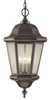 Pendant Light Fixture - OL5911CB - Generation Brands