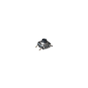 Tactile Switches - CKN10802TR-ND - DigiKey