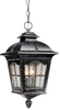 Exterior -Hanging - 73621 - Light Center (The)