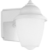 P5844-30 Exterior -Wall Mount - 765168 - Capital Lighting, Inc.