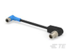 M8/M12 Cable Assemblies - T4162910X04-992 - TE Connectivity
