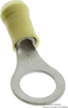 Terminal, Ring Tongue, 3/8