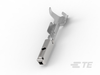 Automotive Terminals - 1703032-1 - TE Connectivity