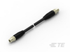 M8/M12 Cable Assemblies - 2241021-1 - TE Connectivity