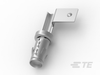 Automotive Terminals - 1703021-1 - TE Connectivity