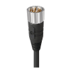 M23 Power Single-Ended Cordset: Male, - RSUS 19-352 - Belden Inc.