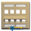 ICC Angled Double Gang Faceplate with Station ID - 8 Port - IC107AS8 - TelephoneStuff.com