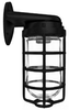 Vaporproof Incandescent Fixture with Globe and Guard - VBR100DGB - RAB Lighting