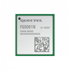 RF Transceiver Modules and Modems - 2958-FGS061NAAM2-ND - DigiKey
