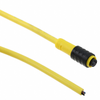 Circular Cable Assemblies - SC2198-ND - DigiKey
