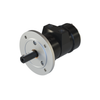 Vane Air Motor LZL -- LZL03-L-P-AC - Image