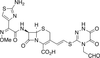 Ceftiolene - 21924 - Medical Isotopes, Inc.