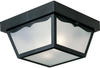 Exterior -Ceiling Mount - 234968 - Light Center (The)