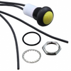 Pushbutton Switches - 450-2772-ND - DigiKey